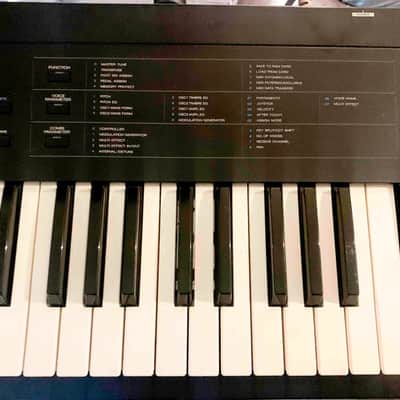 Korg DS-8 Digital Keyboard synthesizer 61 keys - pro studio image 2