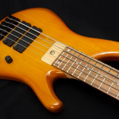 G.Gould GGi5 SST Hybrid Graphite/Maple Composite neck - Alder body - Amber finish - Pao Ferro Fretboard - 8.6 pounds - #1513 image 6