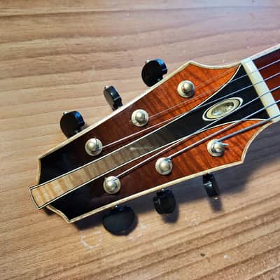Emanuele Faggion Calliope 17" Archtop guitar massive wood in the style of Monteleone Benedetto ... image 12