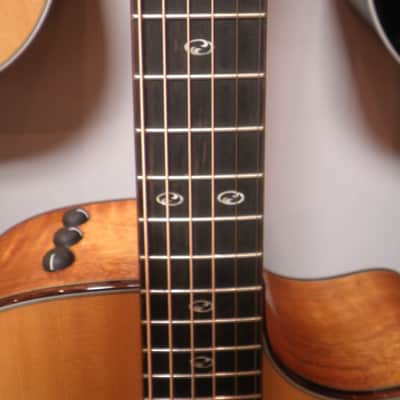 TAYLOR 510 CE LIMITED 201O NATURAL image 2