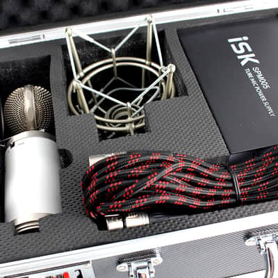 iSK TRM-11 MK2 (2B Beauty - in the USA) Tube Condenser Microphone with Psvane Tube image 2