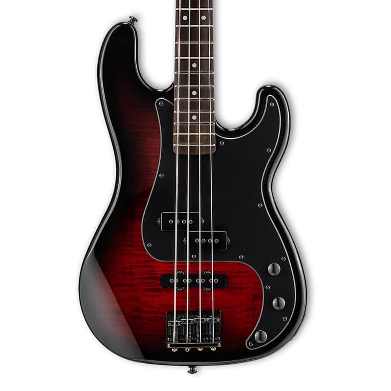 ESP LTD Surveyor-204DX image 2