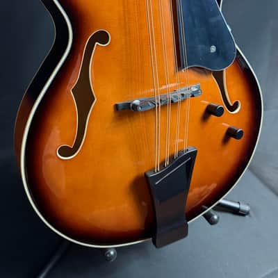 Gold Tone Mandocello 8-String Acoustic-Electric Vintage Sunburst w/ Hardshell Case image 3