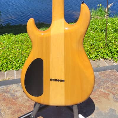 Carvin DC 135 SSS image 3