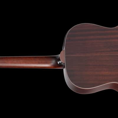 Takamine GY21E SM New Yorker Size Acoustic Electric Guitar, Satin Molasses image 5