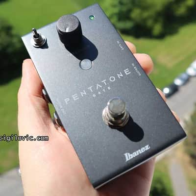 Ibanez Pentatone Gate 2025 - 2 year Thomann Warranty image 2