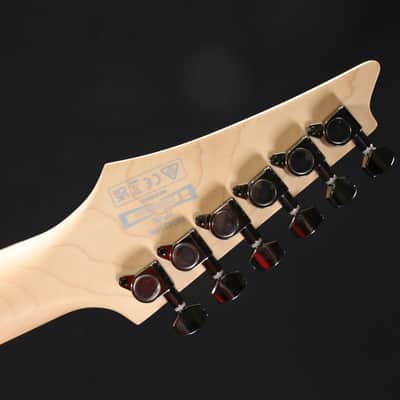 Ibanez RG421PBCHF RG Standard 6str Electric Guitar - Caribbean Shoreline Flat 0666 image 8