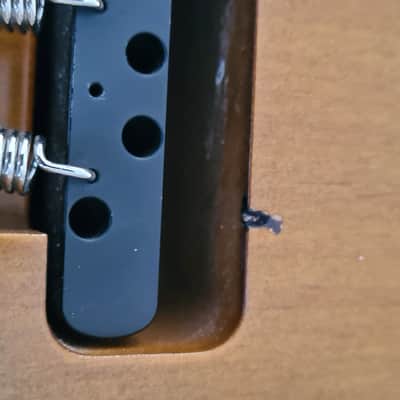 Ibanez ATZ100 - Andy Timmons, Fujigen image 20