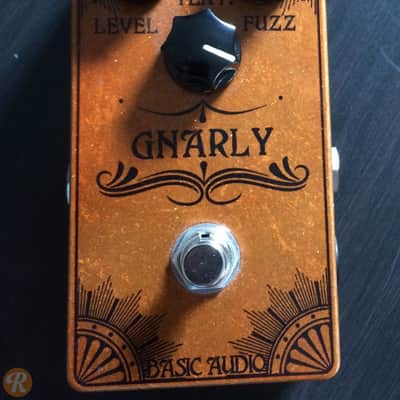 Basic Audio Gnarly Fuzz | Reverb