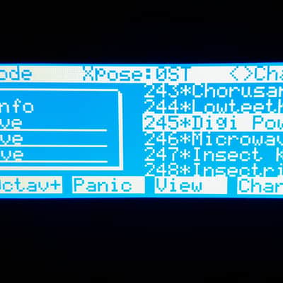 P/RAM for Kurzweil K2000 image 4