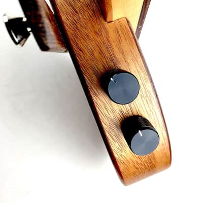 Immagine Rick Turner Renaissance RB4 Studio Special Fretless Bass 2016 Satin Mahogany - 5