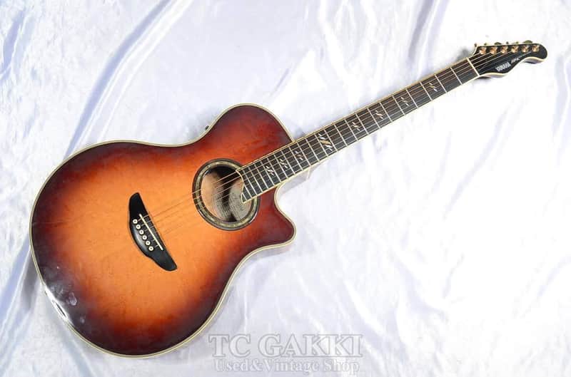 Yamaha Apx 15 Bm image 1