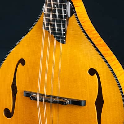 Collings MT2 Honey Amber Adirondack Spruce and Flamed Maple Mandolin NEW image 7