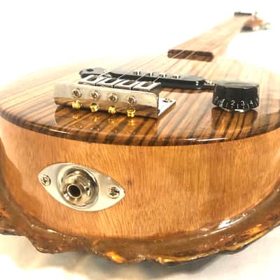 4 string Turtle shell slide guitar image 5