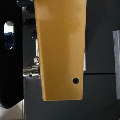 Meris Enzo X 2025 - Present - Gold image 6