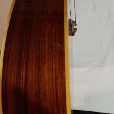 Epiphone FT-135 image 13