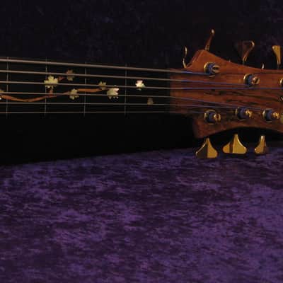 Drake Custom 6 string Fretless  2017 - gloss poly image 11