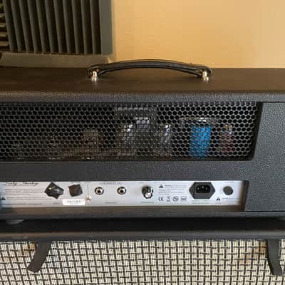 Friedman Dirty Shirley 40 watt head image 3