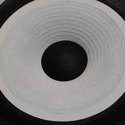 JBL 2213 JBL 4311 JBL4312 D123 SINGLE RE-CONE REAL AGGREGATE L100 USA MADE image 4