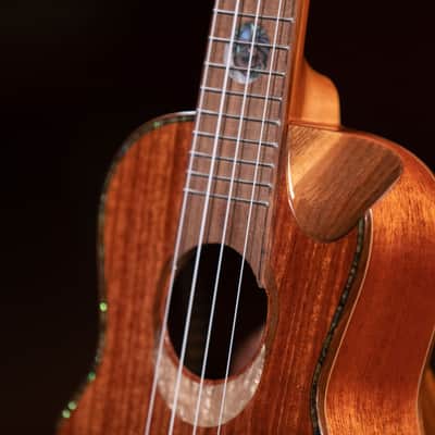 Ortega ECLIPSE-CC4 Custom Built Series Solid Mahogany Top Okoume Neck 4-String Concert Ukulele w/Gig Bag image 11
