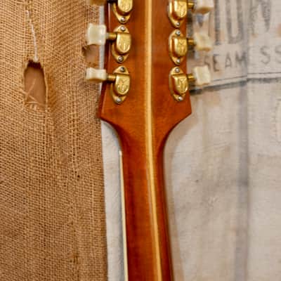 Epiphone FT-110 Frontier 1951 - Natural image 12
