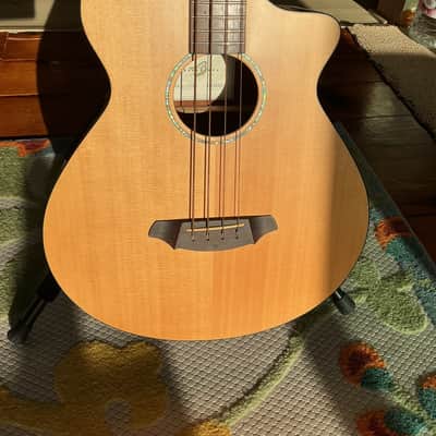 Used Breedlove ABJ250/SM4 Acoustic Bass Guitar image 5