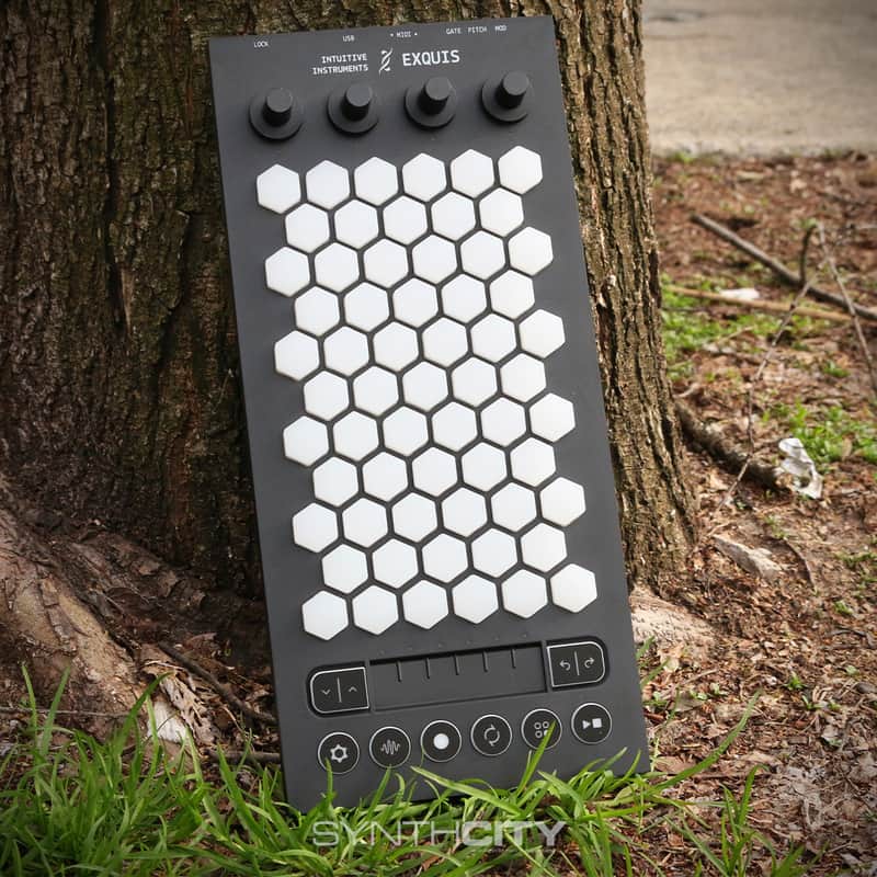 Intuitive Instruments Exquis 61-Key MPE MIDI and CV | Reverb