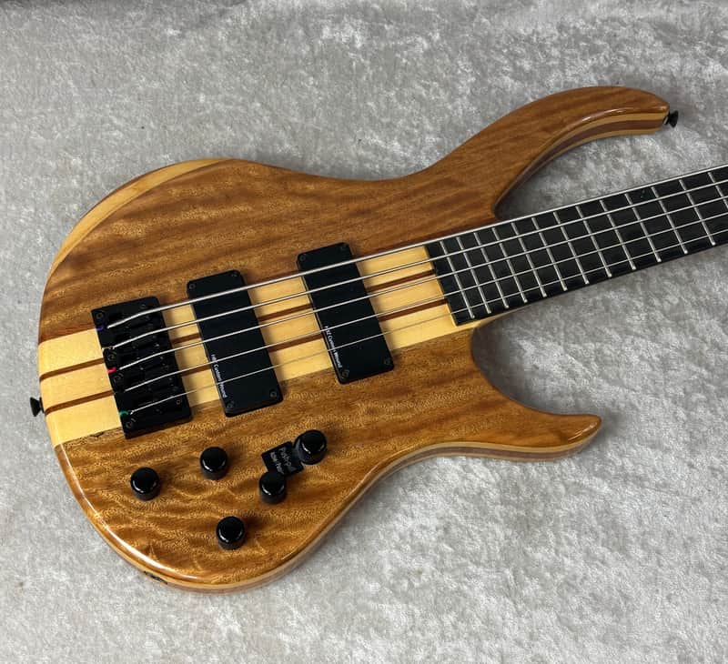 Harley Benton BZ-5000 Deluxe 5 String bass guitar with bag image 1