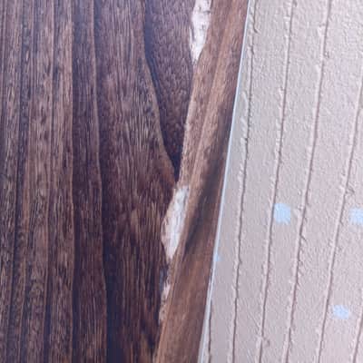 Mishimaya Koto Japanese 6 Feet 13-String Professional image 10