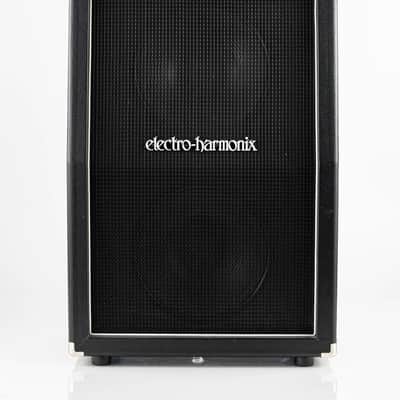 USED Electro-Harmonix MIG-50 2x12" 60-Watt Slanted Vertical Cabinet image 2