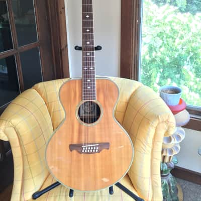 Alvarez 2551 12 String Limited Edition Silver Anniversary Model Gibson L-1 L-00 l-2 look-alike 5037 image 2