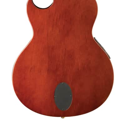 Washburn EACT42S | Festival Series Acoustic-Electric Classical Guitar. New with Full Warranty! image 2