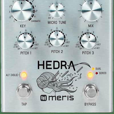 Meris Hedra 2020 Silver, 3-Voice Rhythmic Pitch Shifter (Authorized Dealer) image 3