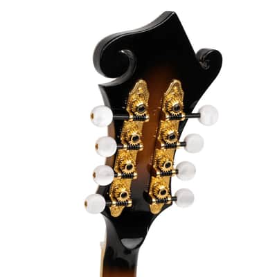 Gold Tone GM-70+ F-style mandolin - NEW Solid Wood w/ CASE image 6