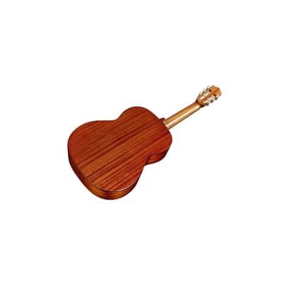 Cordoba C5 6-String Classical Acoustic Guitar (Natural) image 6