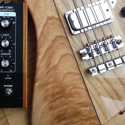 Mike Lull JAXT4 Jeff Ament signature Thunderbird bass image 2