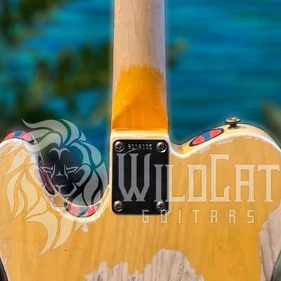 Fender Terry Kath Telecaster #76100 Masterbuilt Dennis Galuszka R118035    8.0 LBS image 6