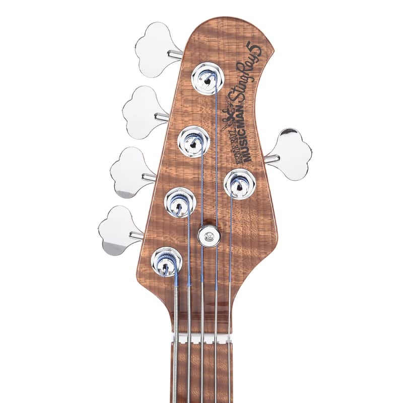 Ernie Ball Music Man Ball Family Reserve StingRay 5 H Fretless image 5