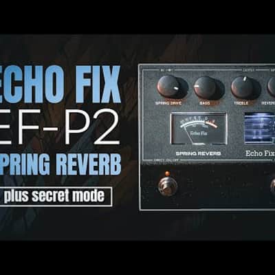 Echo Fix EF-P2 Spring Reverb image 8
