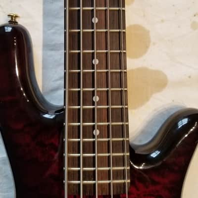 Spector Legend 5 Bass 2004-2005 Black Cherry image 8