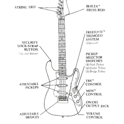Fender Elite Stratocaster 1983 - Walnut image 13
