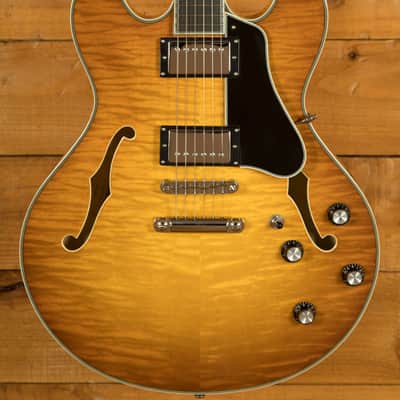Eastman T486 - Goldburst image 1
