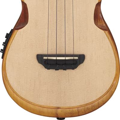 Ibanez AUC10E-OPN Concert Ukulele Open Pore Natural incl. Gigbag - NEW image 8