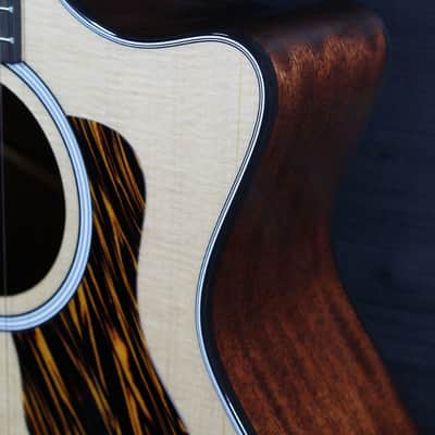 Taylor Guitars Next Generation 314ce Sapele / Spruce w/ Claria Pickup image 19