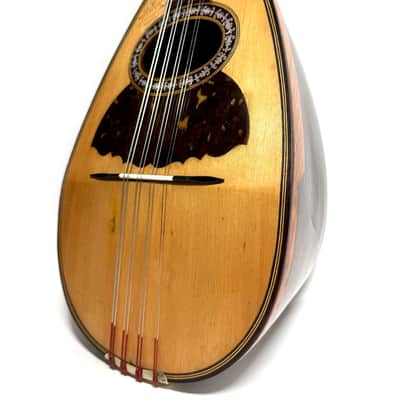 Stridente Mandolin 1900's image 3