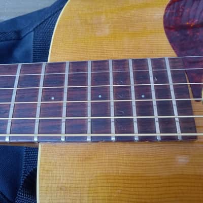 Vintage Circa 1967 Mosrite Serenade Acoustic Guitar Project w/ Gig Bag! image 12
