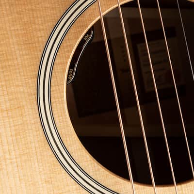 Taylor Gold Label 512e - Natural - Free Shipping image 9