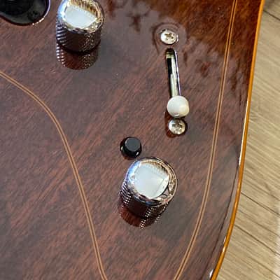 Godin Passion RG3 image 12
