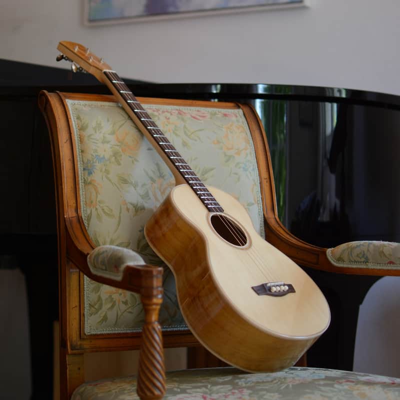 Steel String Baritone Ukulele - Custom Case image 1