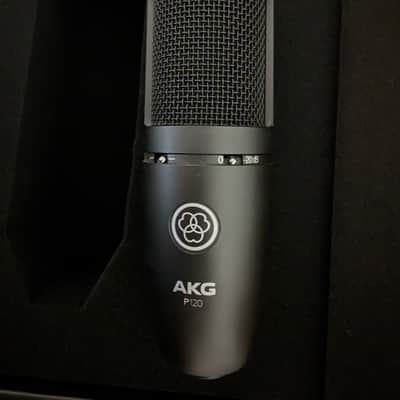 AKG P120 image 2